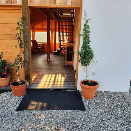 Apartament U Ewki Rdzawka 외부 사진